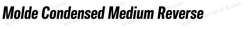 Molde Condensed Medium Reverse字体转换